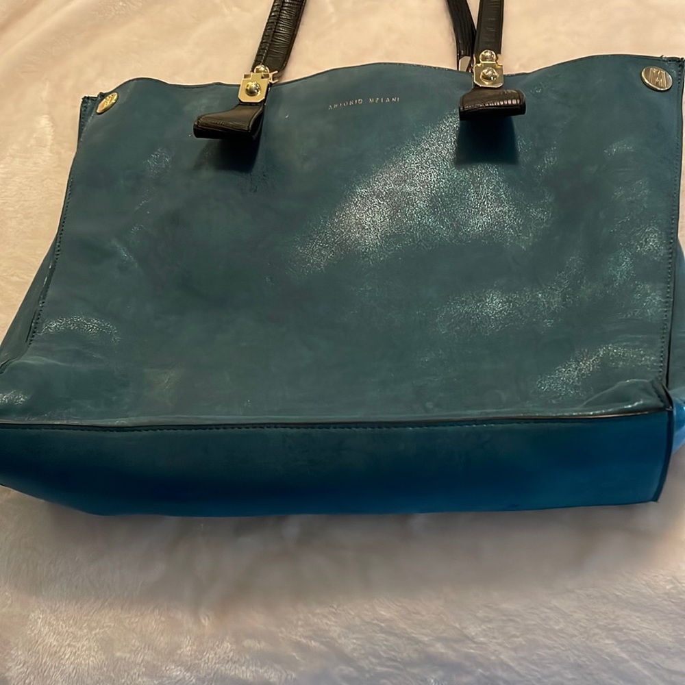 Antonio Melani bag. beautiful color.